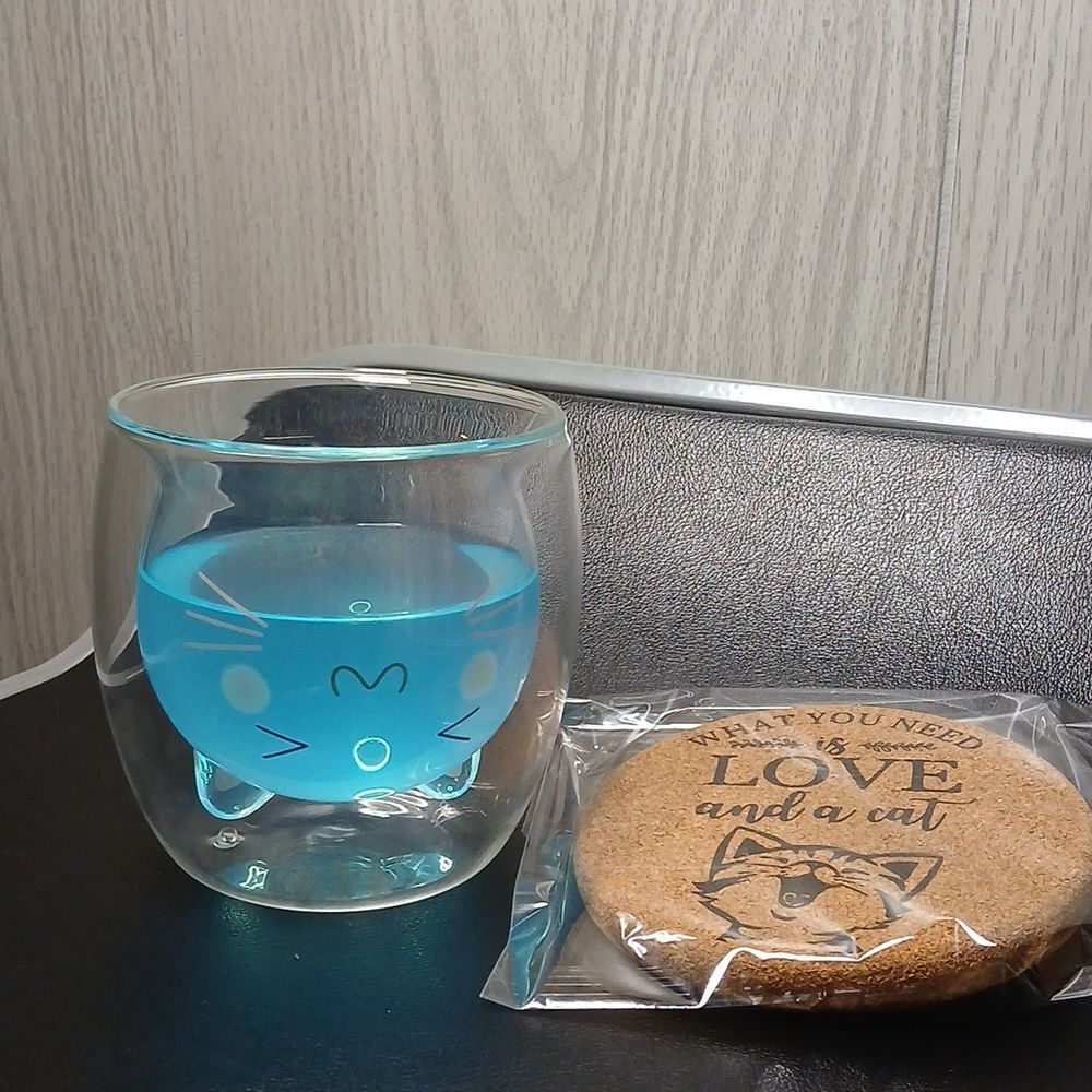 Kitten glass cup double wall insulated w/ coaster